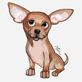 Chihuahua Toon